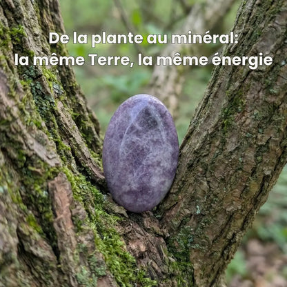 🟣 Zenlithe – Le galet apaisant en lépidolite – Kalmstone