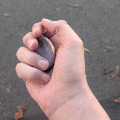 🟣 Zenlithe – Le galet apaisant en lépidolite – Kalmstone